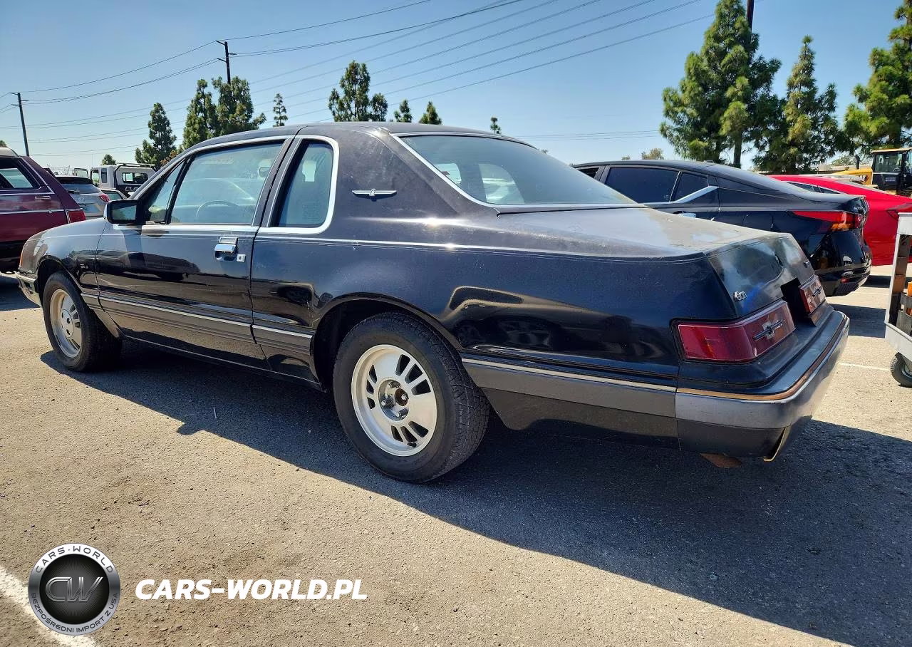 1984 Ford Thunderbird VIN:1FABP46F0EH203542 - 2