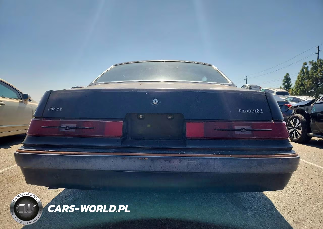 1984 Ford Thunderbird VIN:1FABP46F0EH203542 - 6