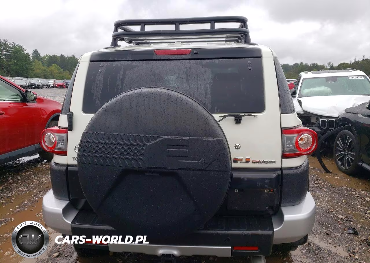 2014 Toyota Fj Cruiser Base VIN:JTEBU4BFXEK193304 - 6