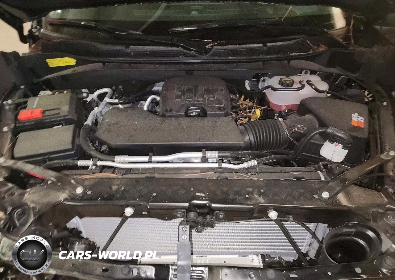 2024 Chevrolet Silverado K1500 Trail Boss Custom VIN:3GCPDCEK1RG428523 - 11