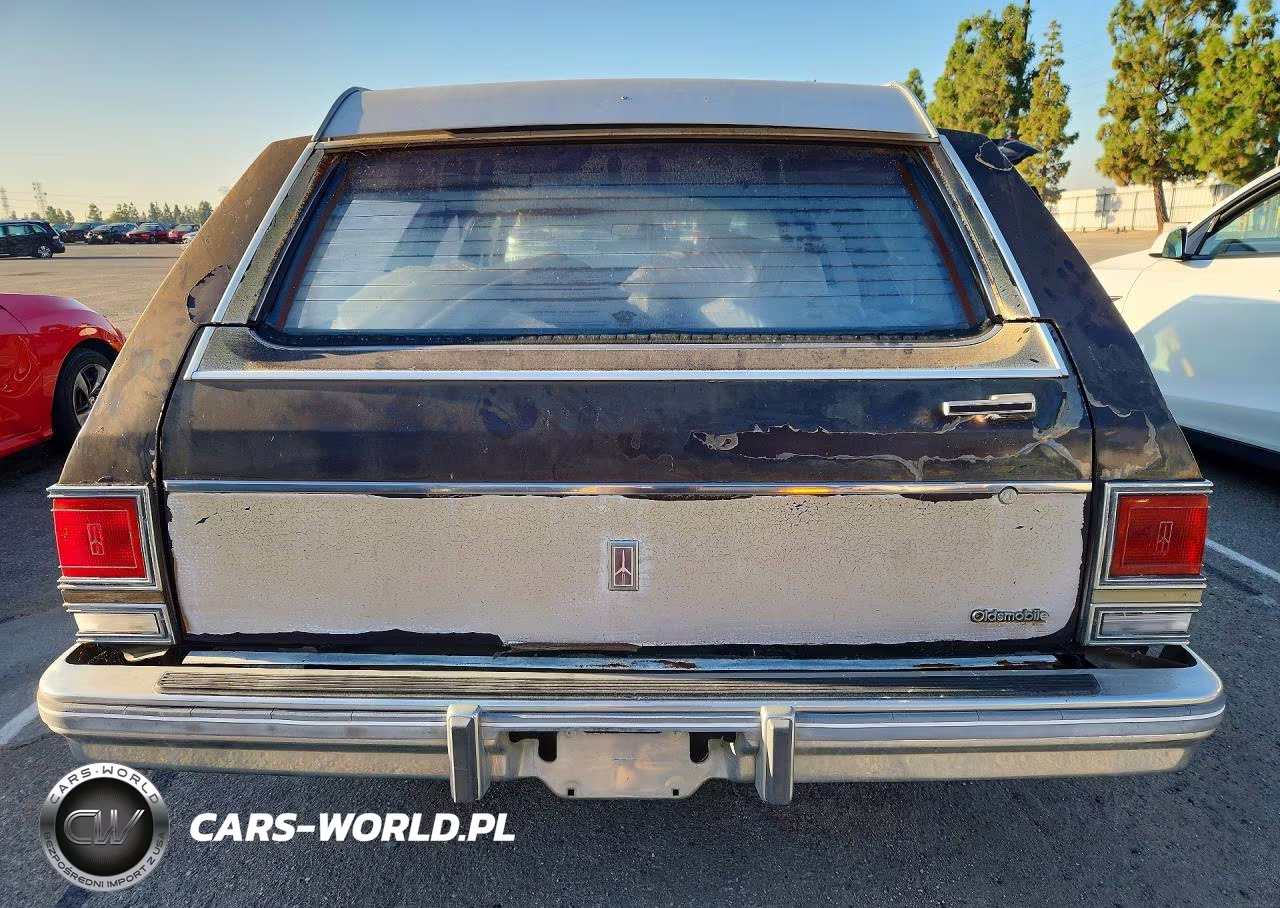 1985 Oldsmobile Custom Cruiser VIN:1G3BP35Y3F9063568 - 6