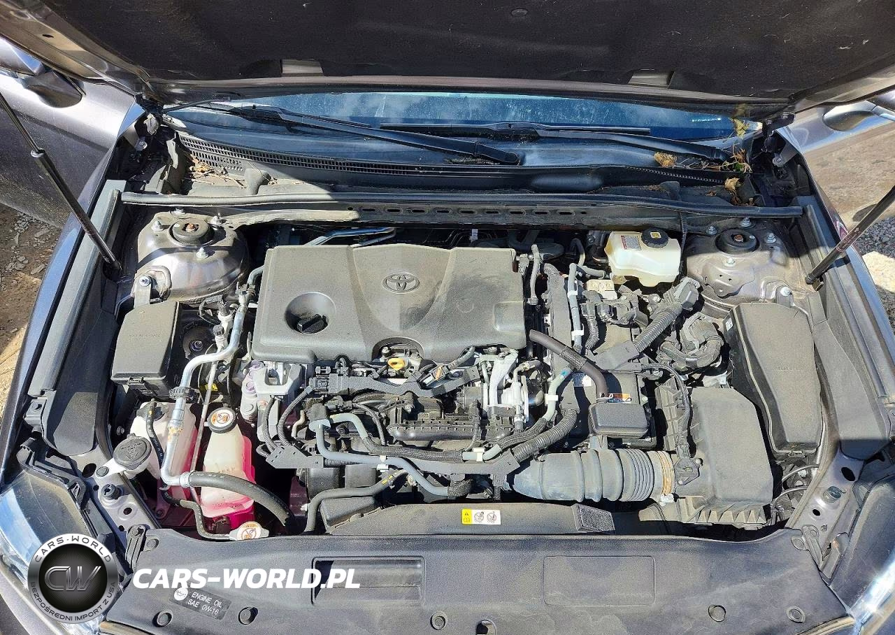 2020 Toyota Camry Xle VIN:4T1F31AK5LU017571 - 11