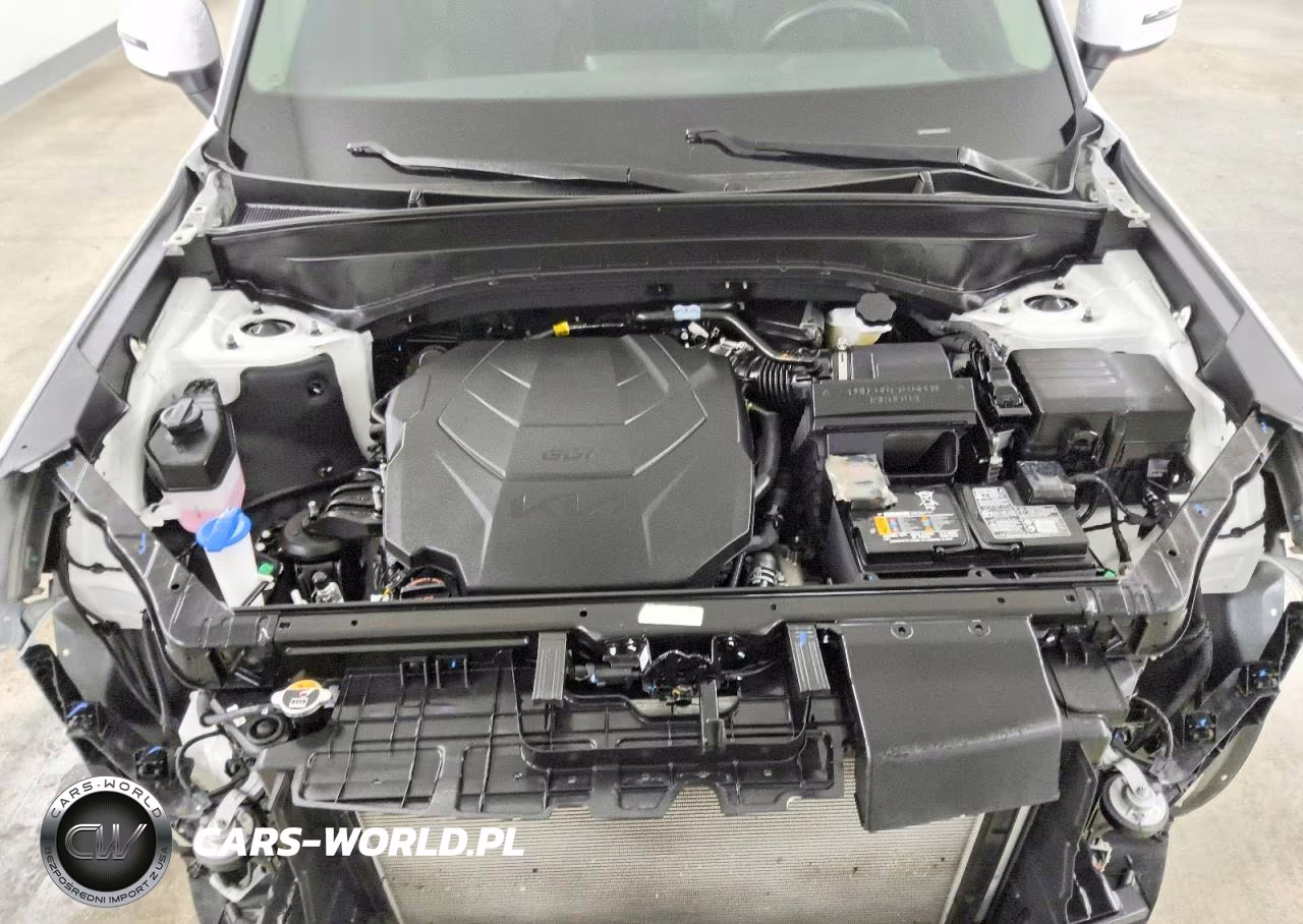 2025 Kia Telluride Lx VIN:5XYP24GC3SG672745 - 12