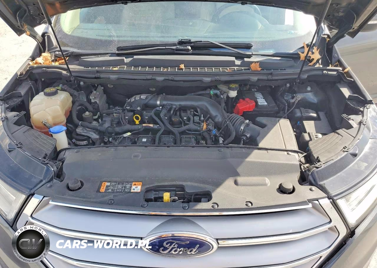 2016 Ford Edge Sel VIN:2FMPK4J9XGBB27825 - 12