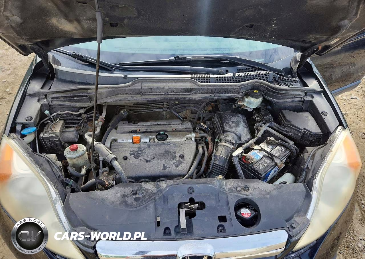 2009 Honda Cr-V Exl VIN:JHLRE48799C010462 - 12