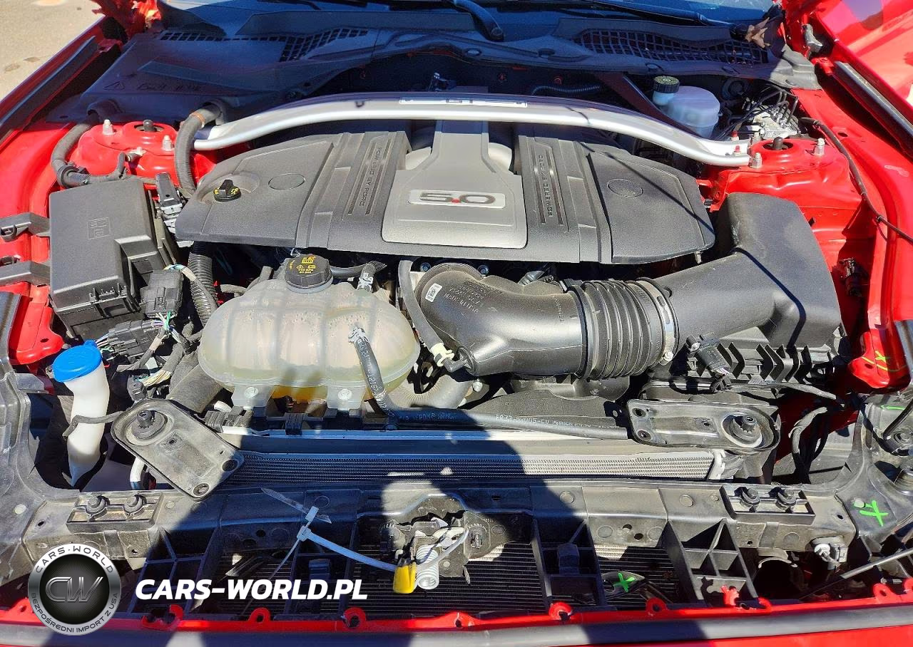 2020 Ford Mustang Gt VIN:1FA6P8CF2L5176307 - 11