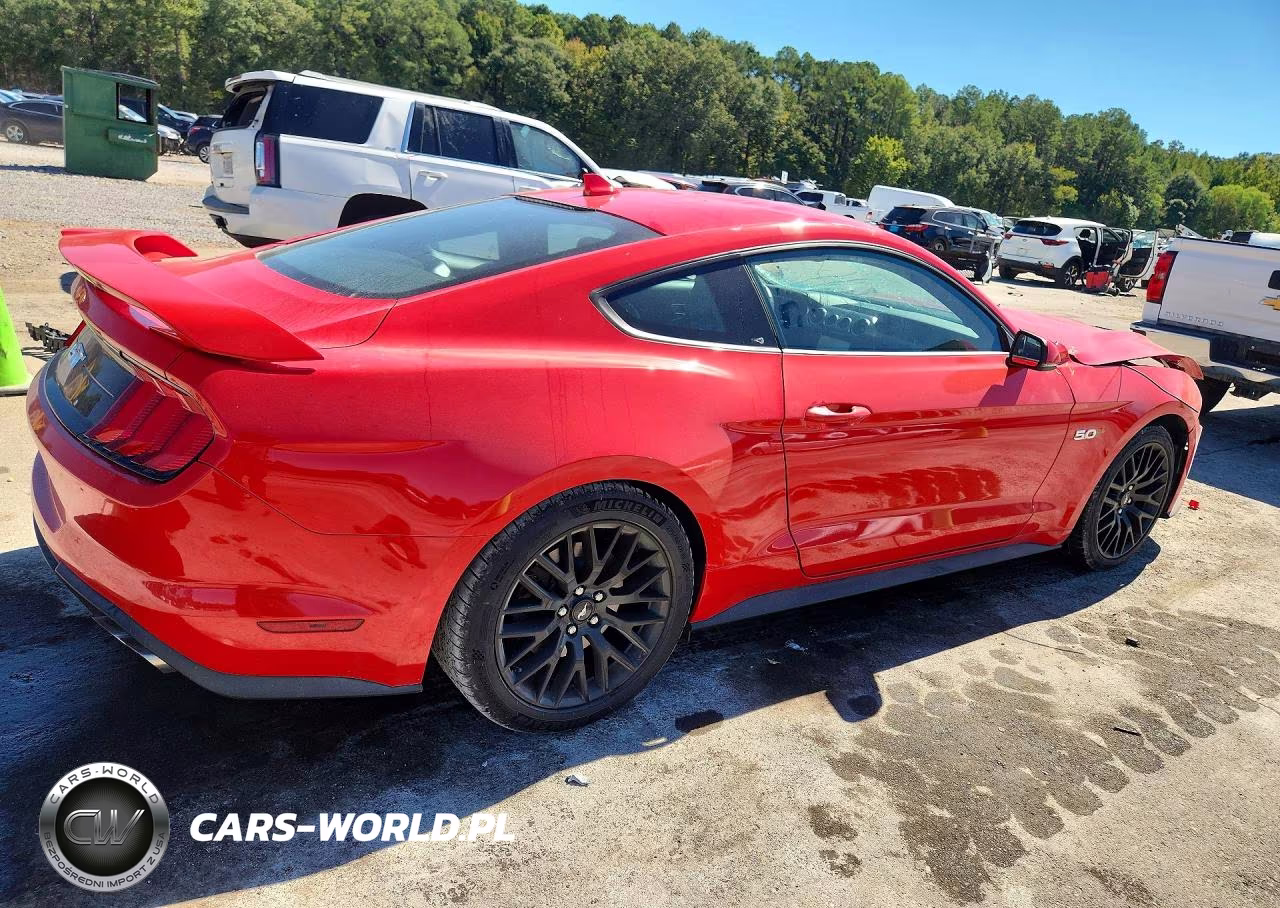 2020 Ford Mustang Gt VIN:1FA6P8CF2L5176307 - 3