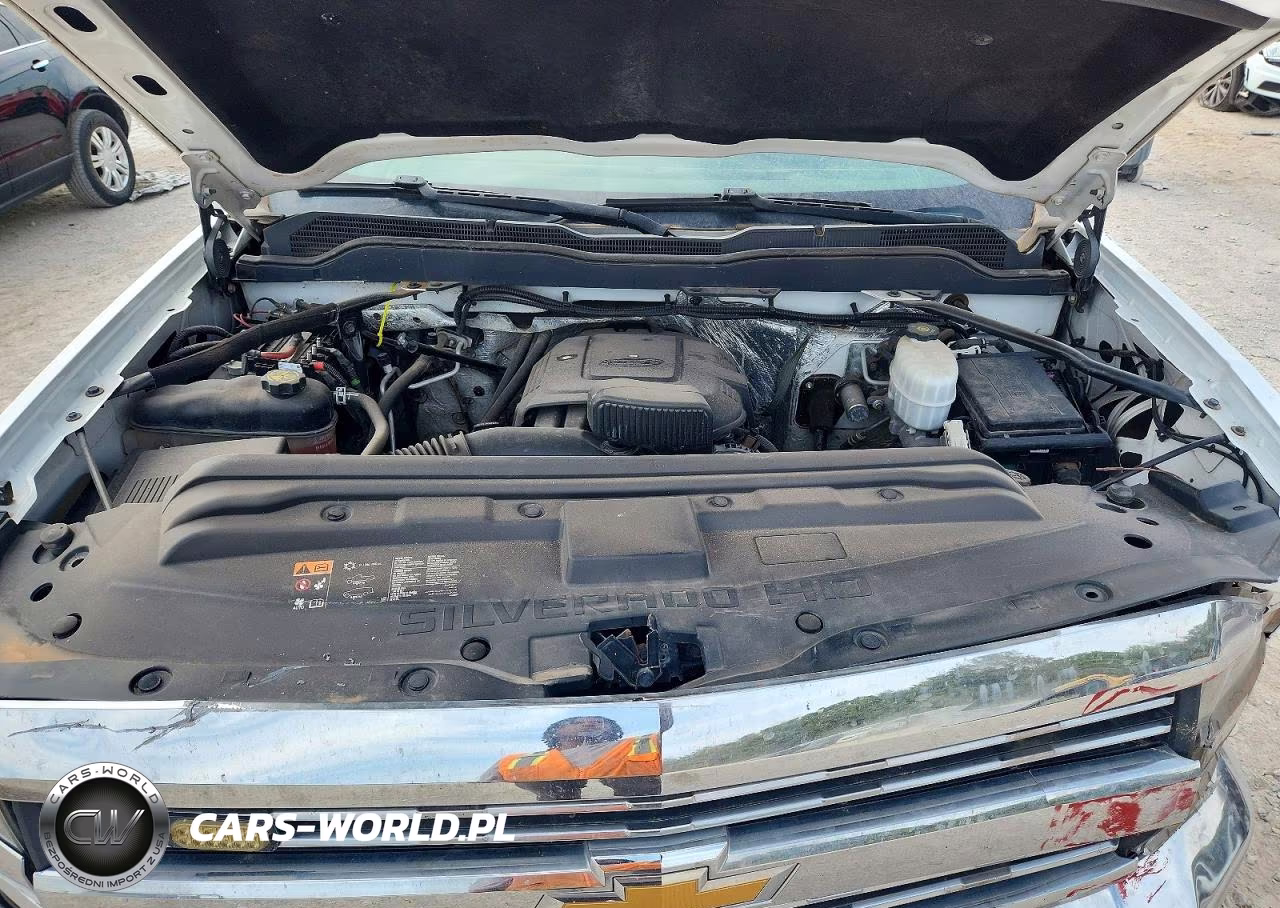 2018 Chevrolet Silverado C2500 Heavy Duty VIN:1GC2CUEGXJZ280889 - 11