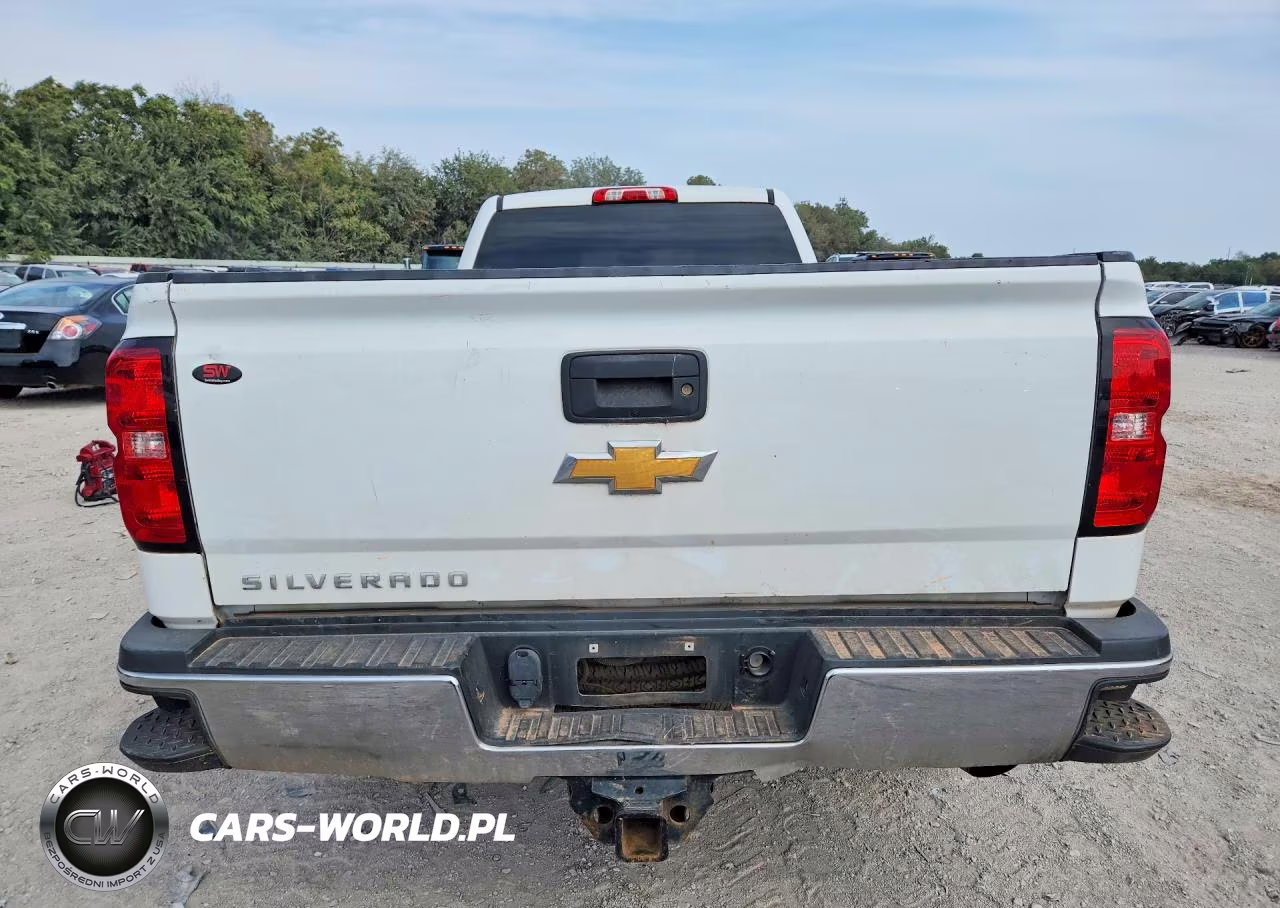 2018 Chevrolet Silverado C2500 Heavy Duty VIN:1GC2CUEGXJZ280889 - 6
