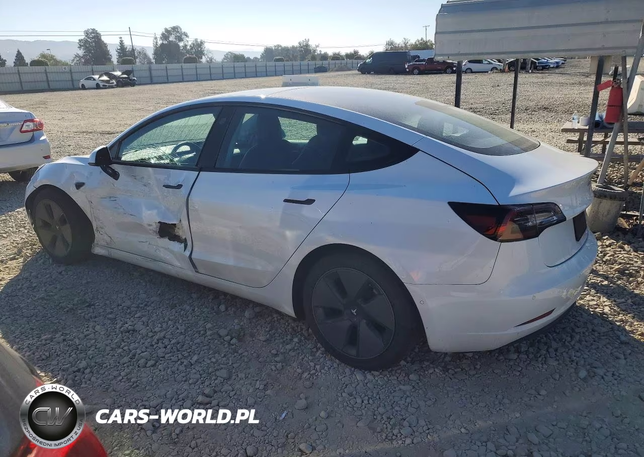 2021 Tesla Model 3 VIN:5YJ3E1EA2MF074923 - 2