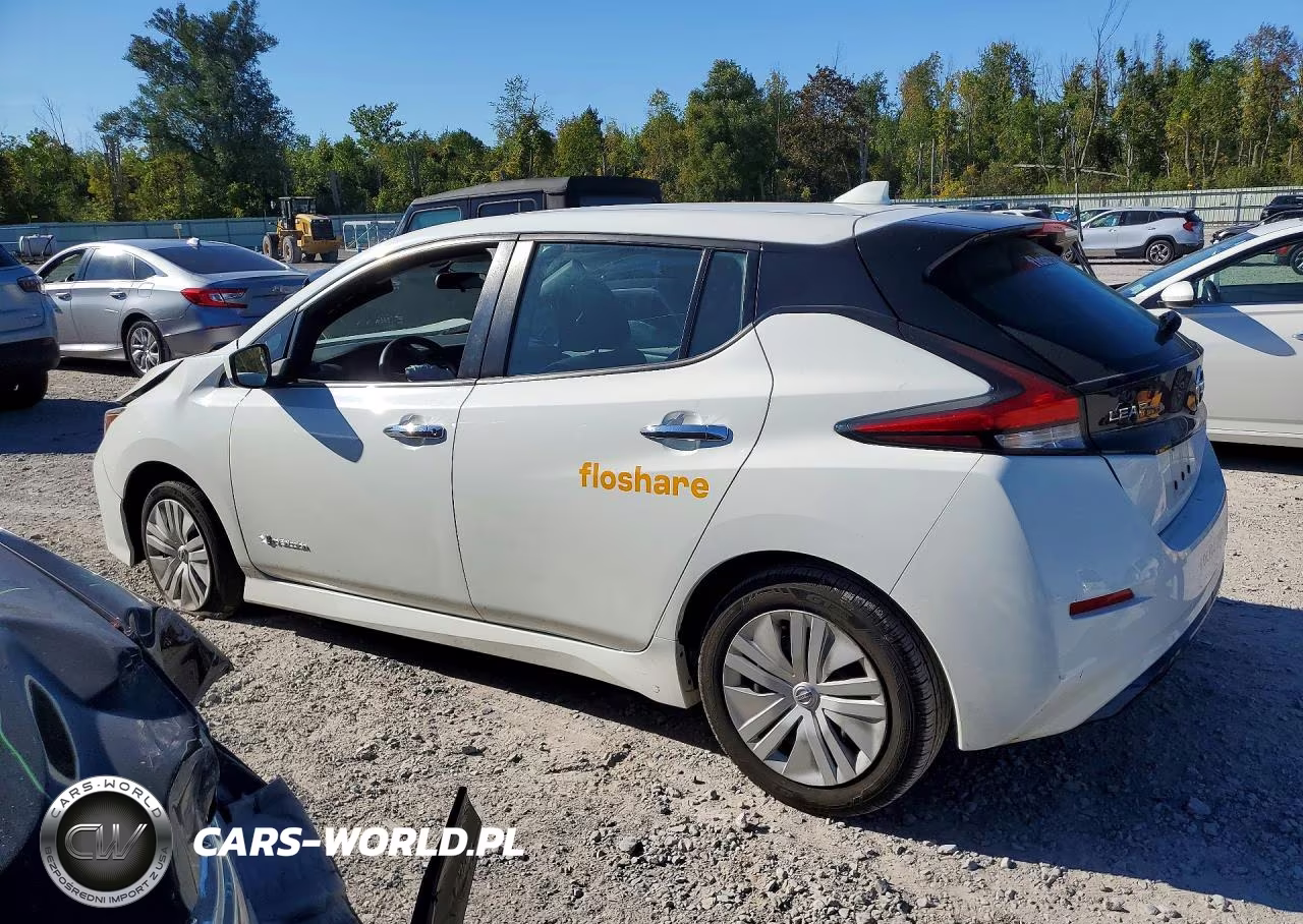2019 Nissan Leaf S VIN:1N4AZ1CP1KC300498 - 2