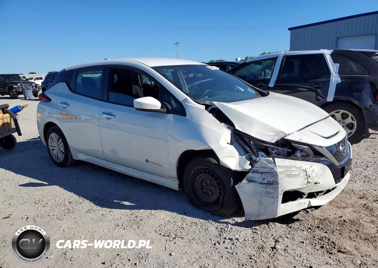 2019 Nissan Leaf S VIN:1N4AZ1CP1KC300498 - 4