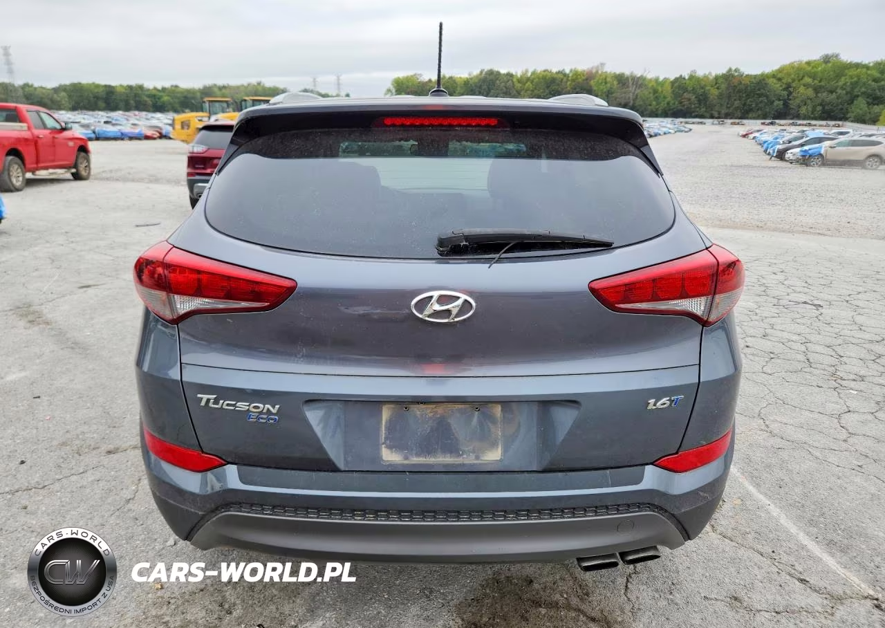 2016 Hyundai Tucson Eco VIN:KM8J33A27GU197342 - 6