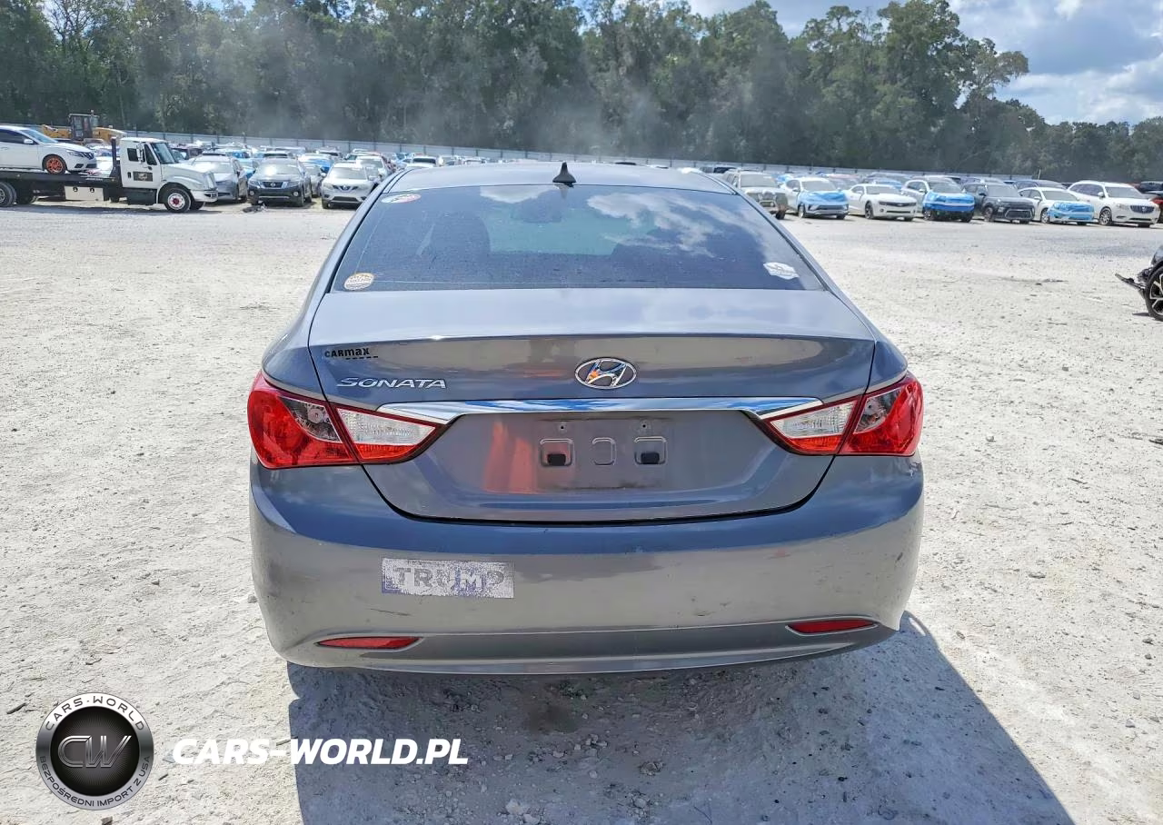 2013 Hyundai Sonata Gls VIN:5NPEB4AC1DH516179 - 6