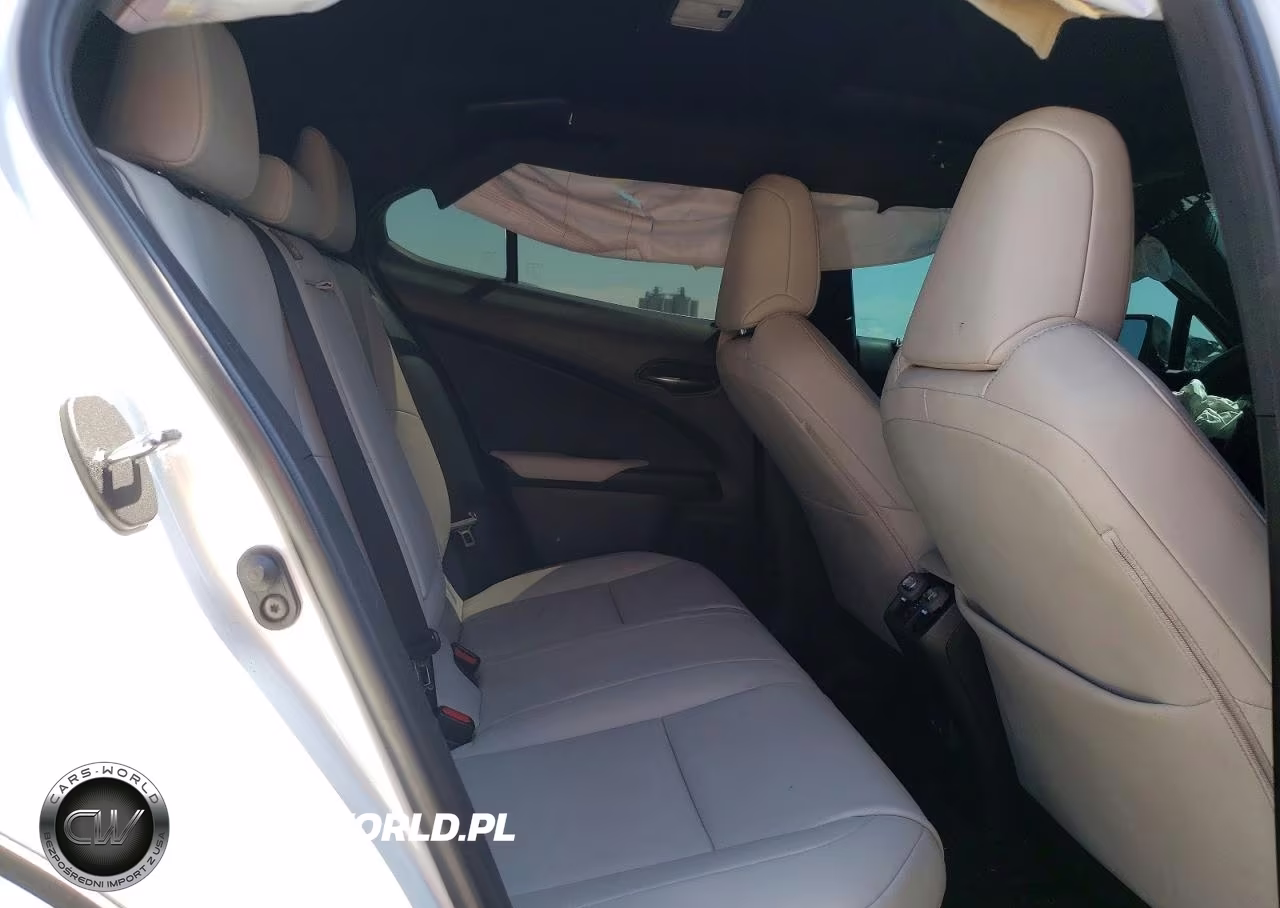 2021 Lexus Ux 250H VIN:JTHP9JBH1M2049391 - 10