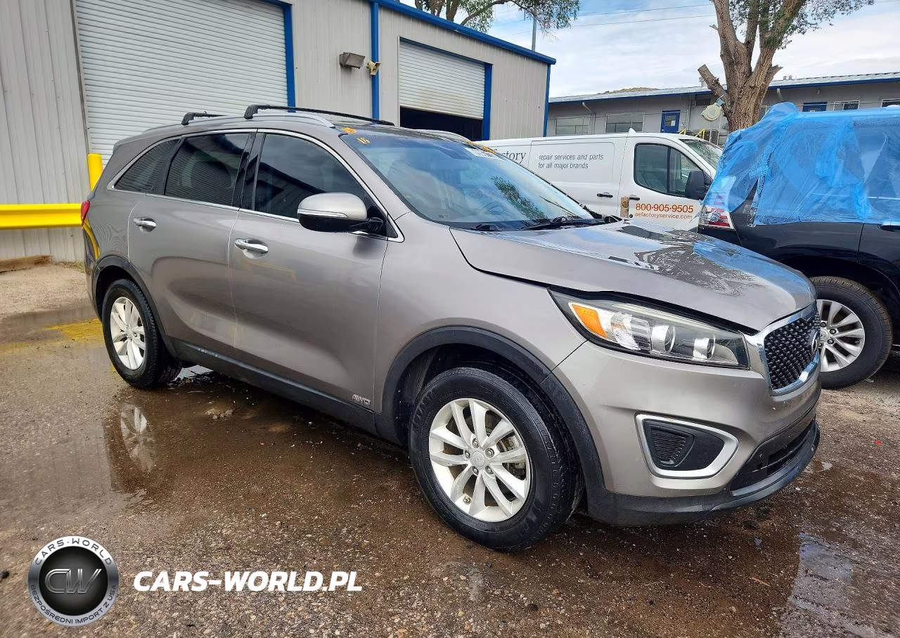 2017 Kia Sorento Lx VIN:5XYPGDA33HG226727 - 4