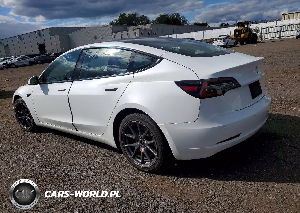 2022 Tesla Model 3 VIN:5YJ3E1EA9NF372211 - 2