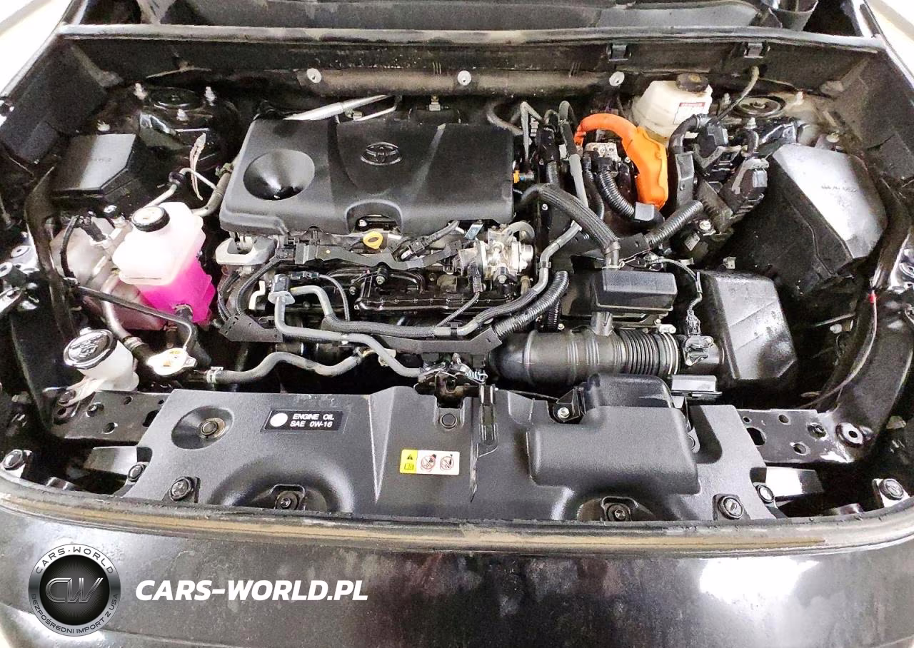 2024 Toyota Rav4 Le VIN:4T3LWRFV1RU137816 - 12