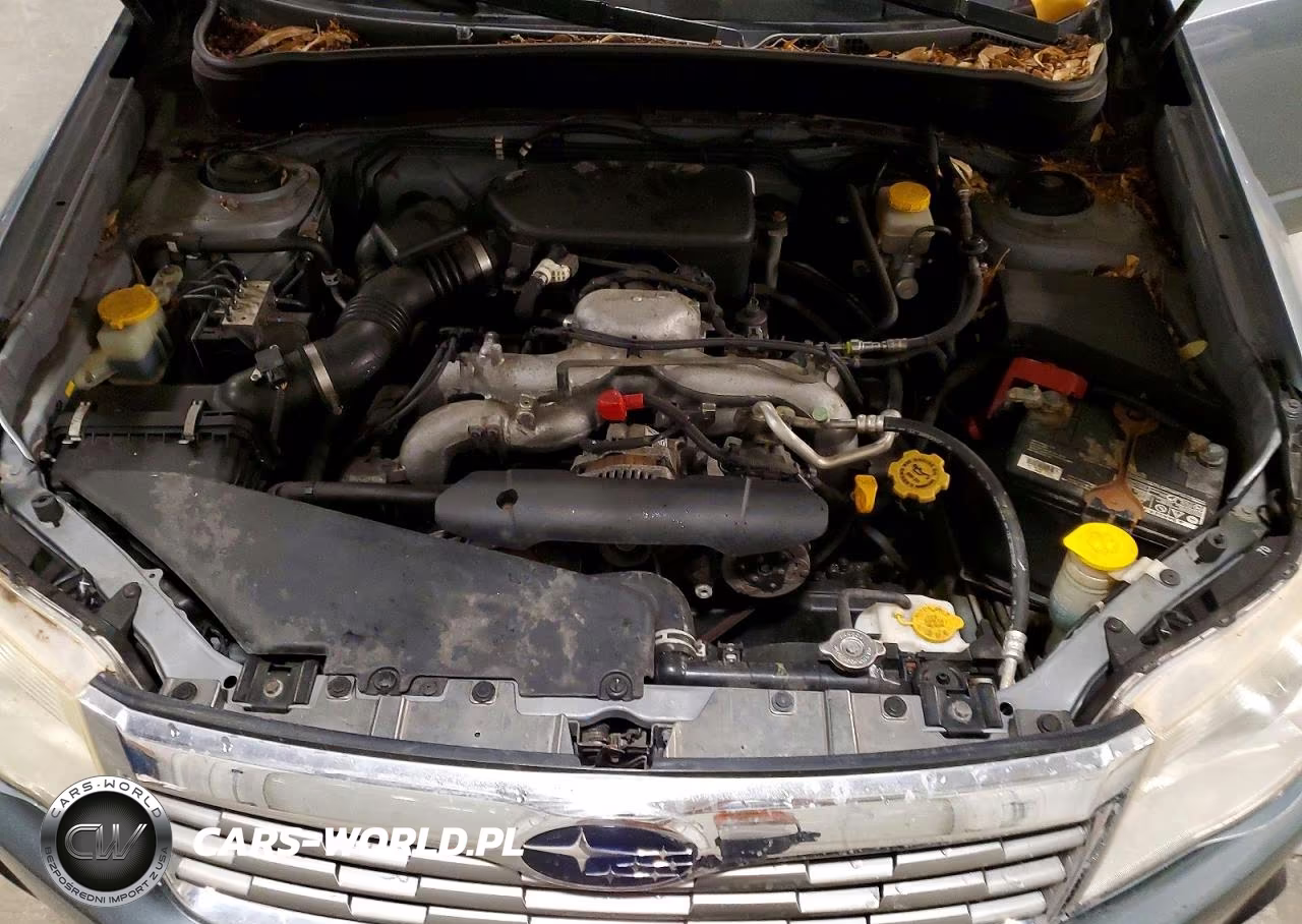 2010 Subaru Forester 2.5X Premium VIN:JF2SH6CC4AH776095 - 12