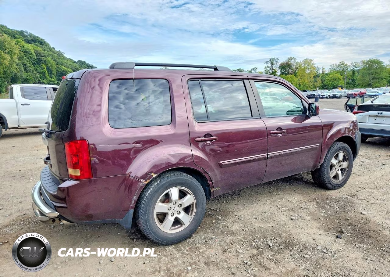 2010 Honda Pilot Exl VIN:5FNYF4H69AB003533 - 3