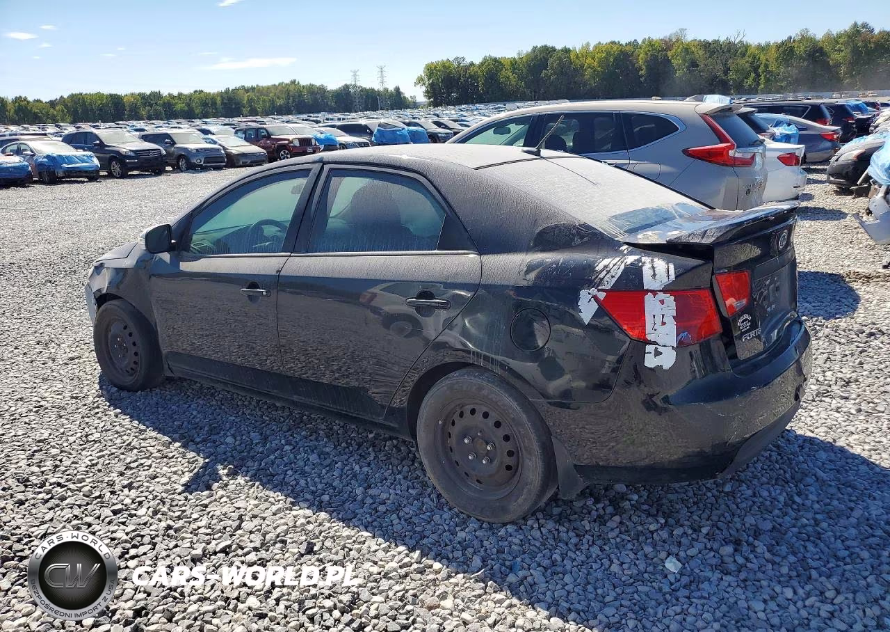 2013 Kia Forte Lx VIN:KNAFT4A25D5721333 - 2