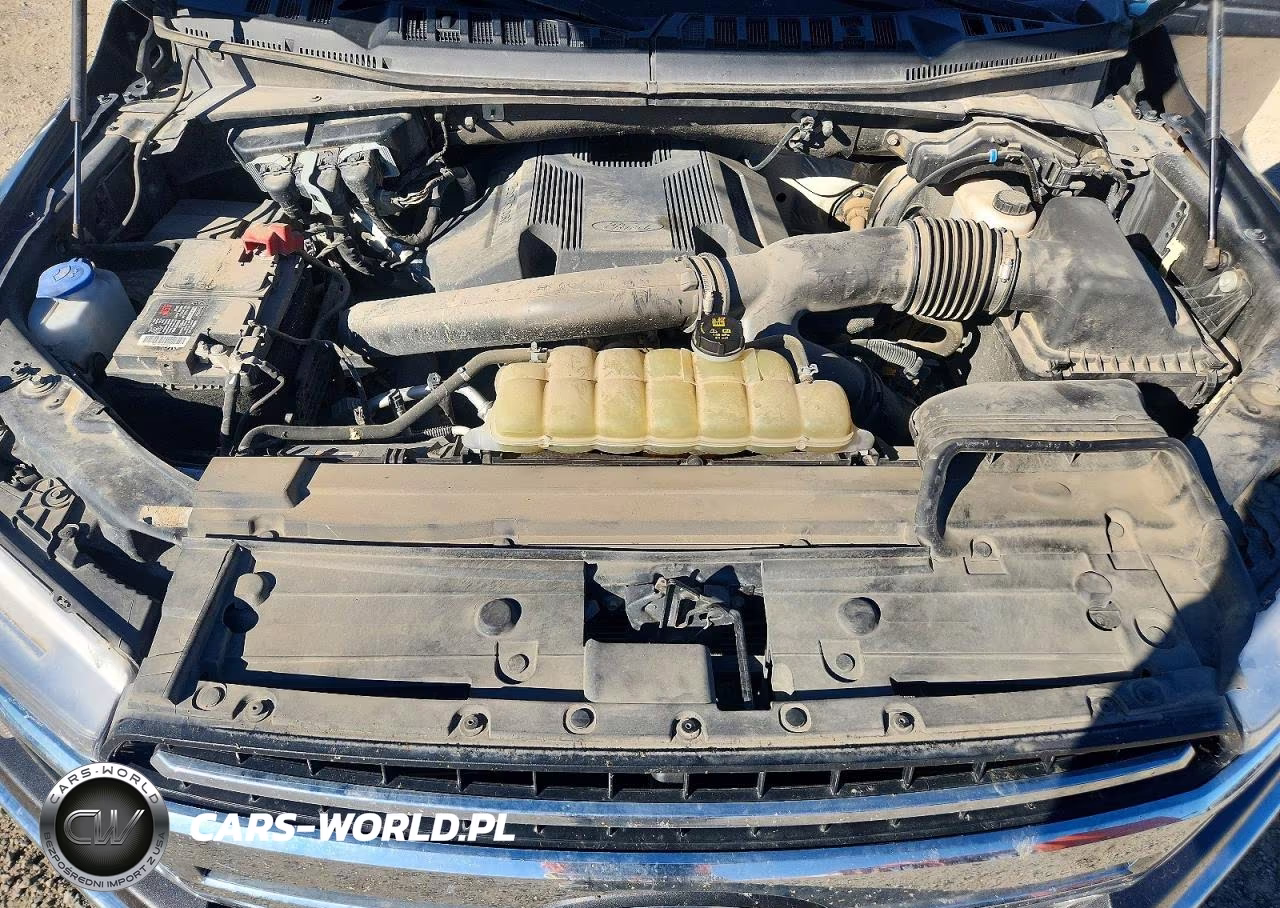 2020 Ford F150 Supercrew VIN:1FTFW1E40LKD10524 - 11