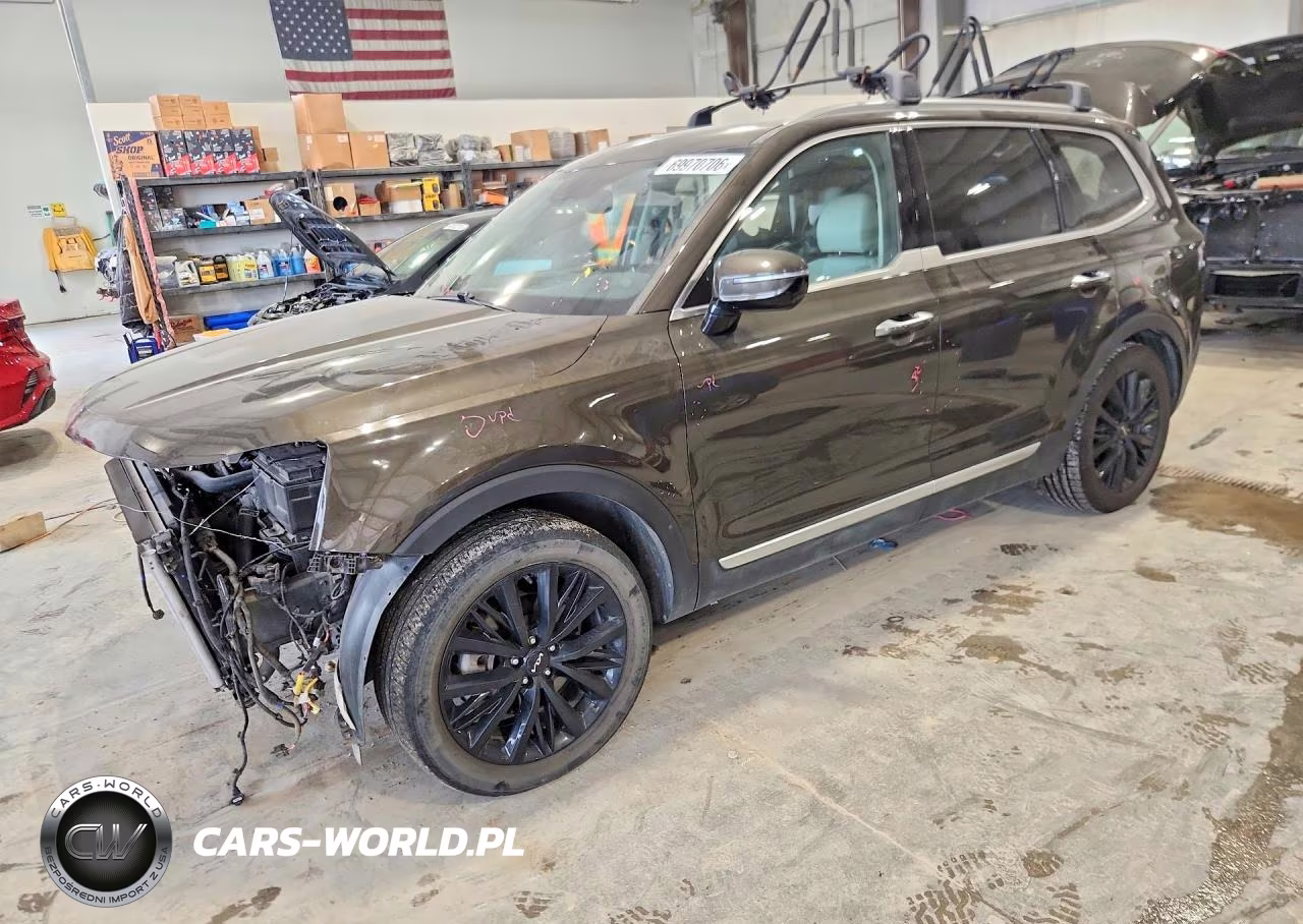 2022 Kia Telluride Sx VIN:5XYP5DHC1NG277876 - 1