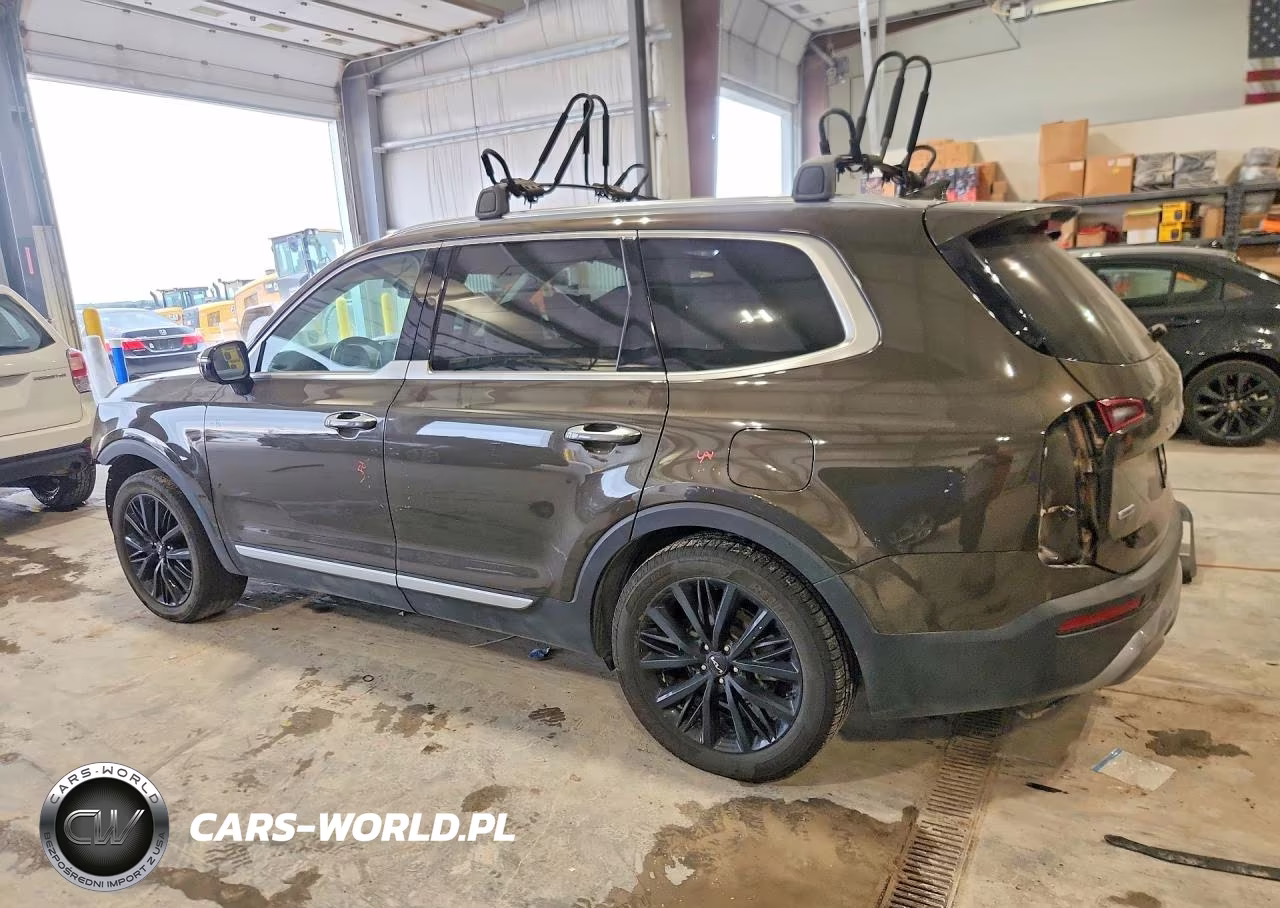 2022 Kia Telluride Sx VIN:5XYP5DHC1NG277876 - 2