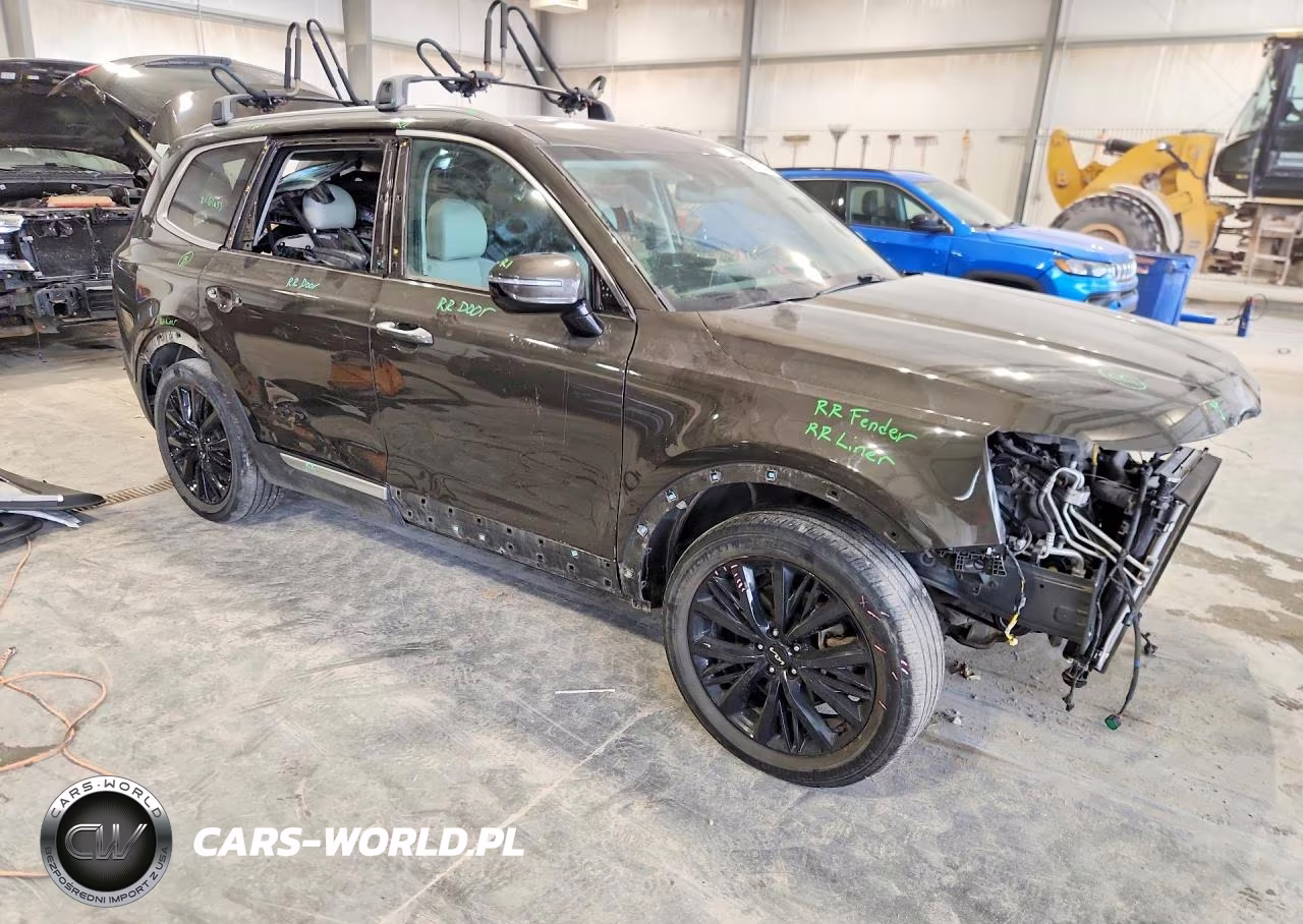 2022 Kia Telluride Sx VIN:5XYP5DHC1NG277876 - 4