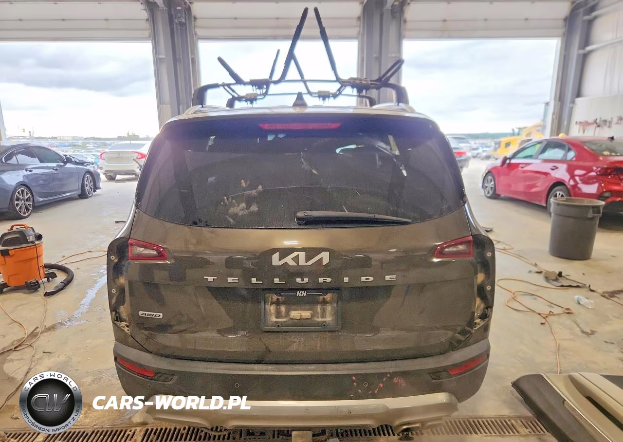 2022 Kia Telluride Sx VIN:5XYP5DHC1NG277876 - 6