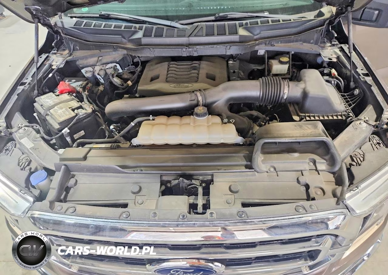 2021 Ford F150 VIN:1FTFW1E86MFD09858 - 11