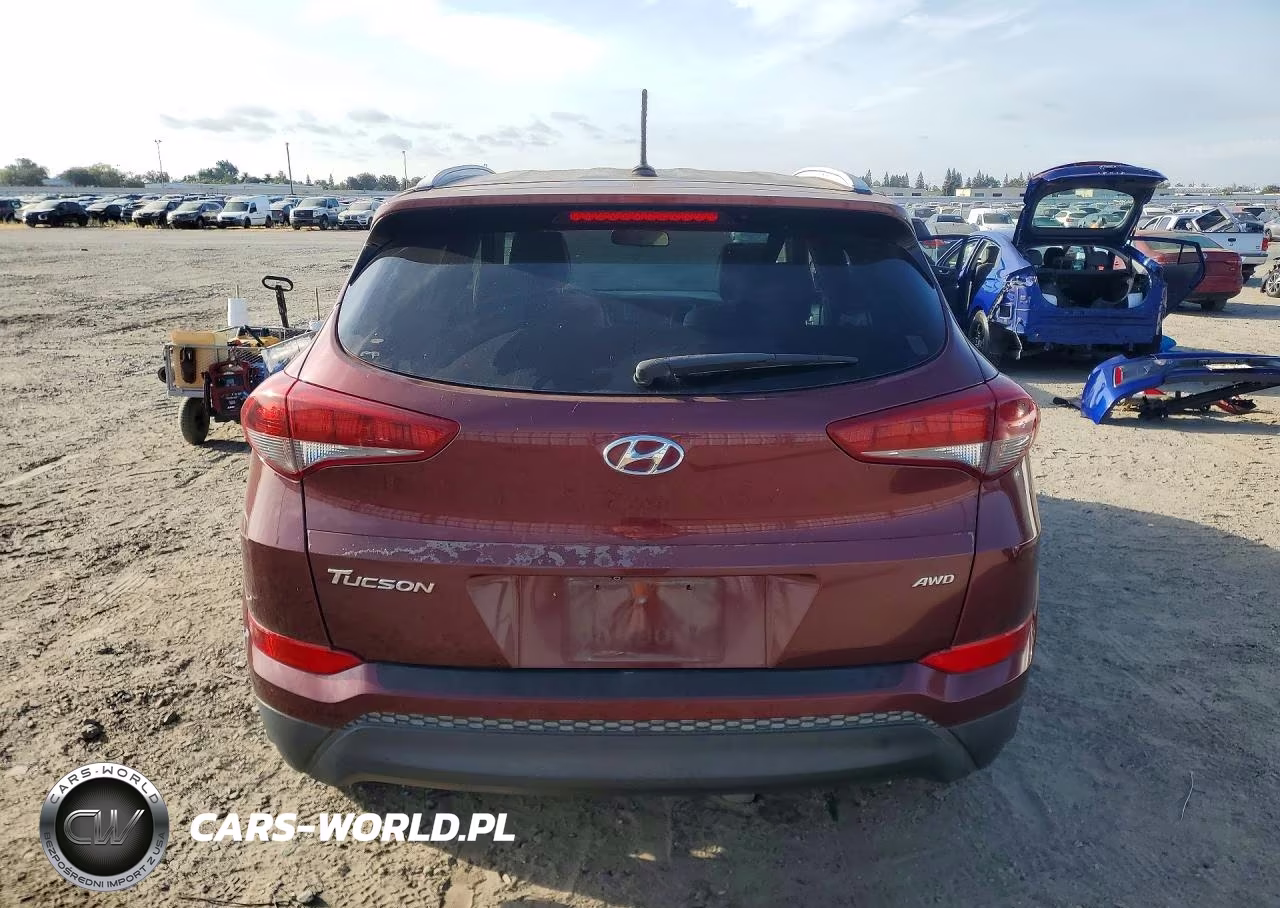 2016 Hyundai Tucson Se VIN:KM8J3CA44GU126827 - 6