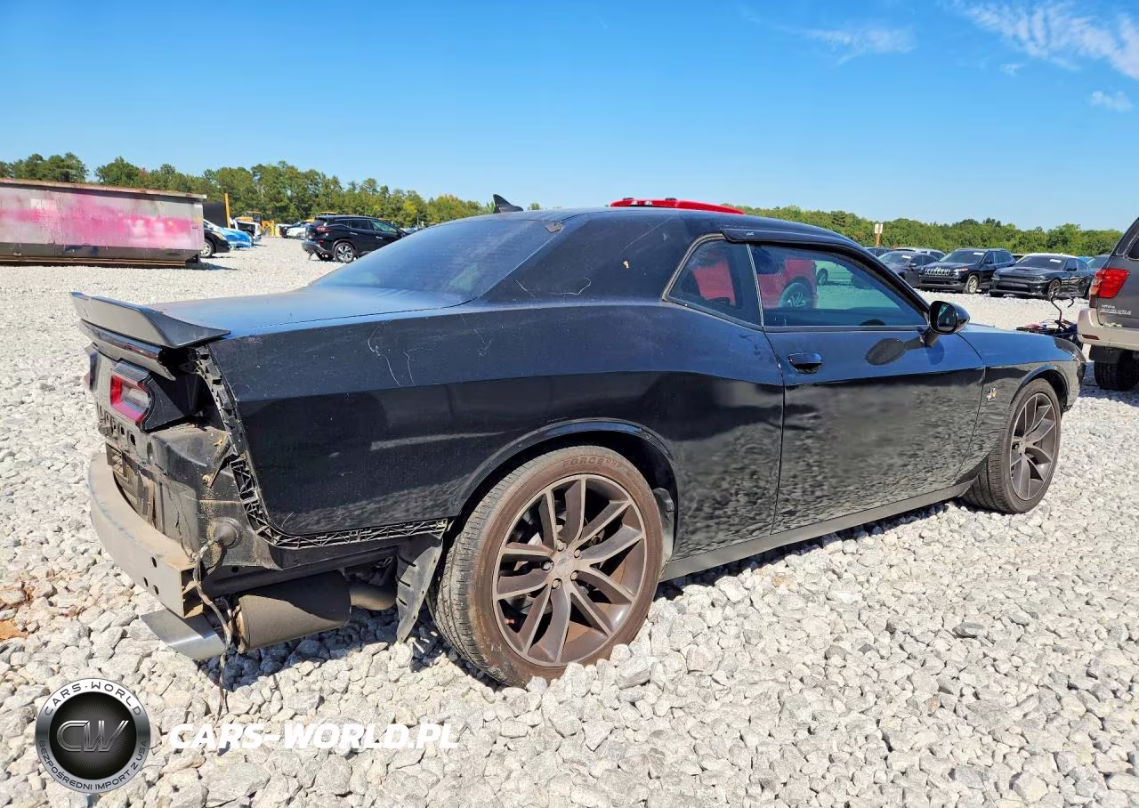 2016 Dodge Challenger R-T Scat Pack VIN:2C3CDZFJ3GH338153 - 3