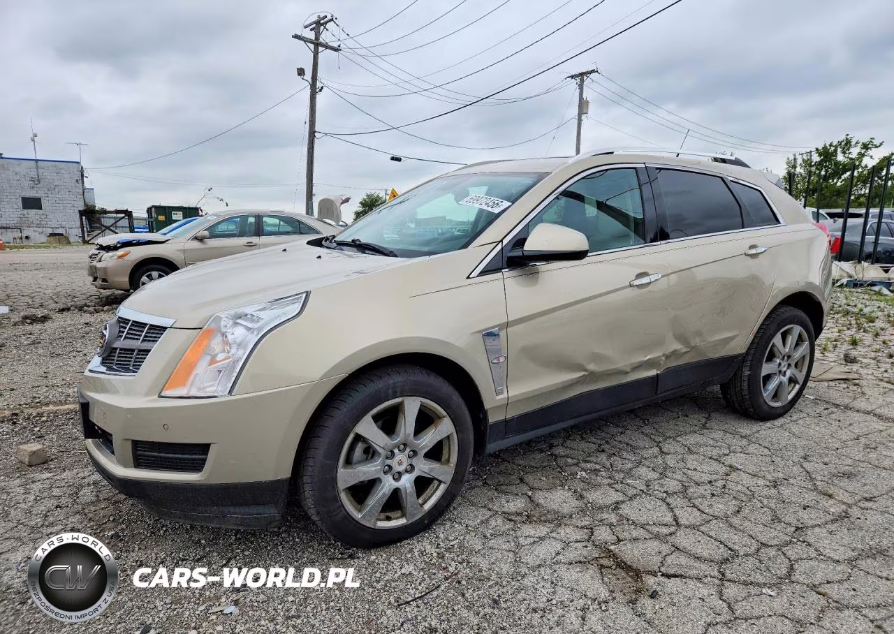 2010 Cadillac Srx Luxury Collection VIN:3GYFNAEY8AS606831 - 1