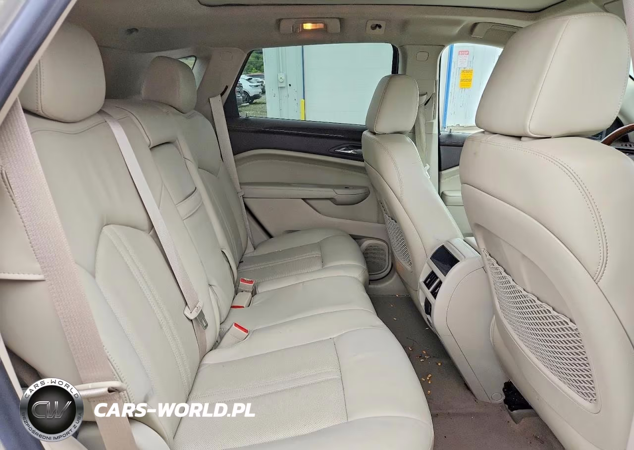 2010 Cadillac Srx Luxury Collection VIN:3GYFNAEY8AS606831 - 10