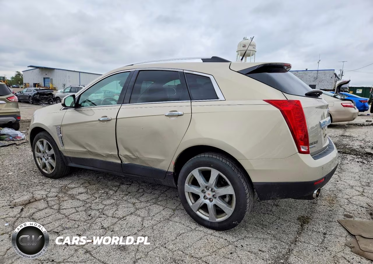 2010 Cadillac Srx Luxury Collection VIN:3GYFNAEY8AS606831 - 2