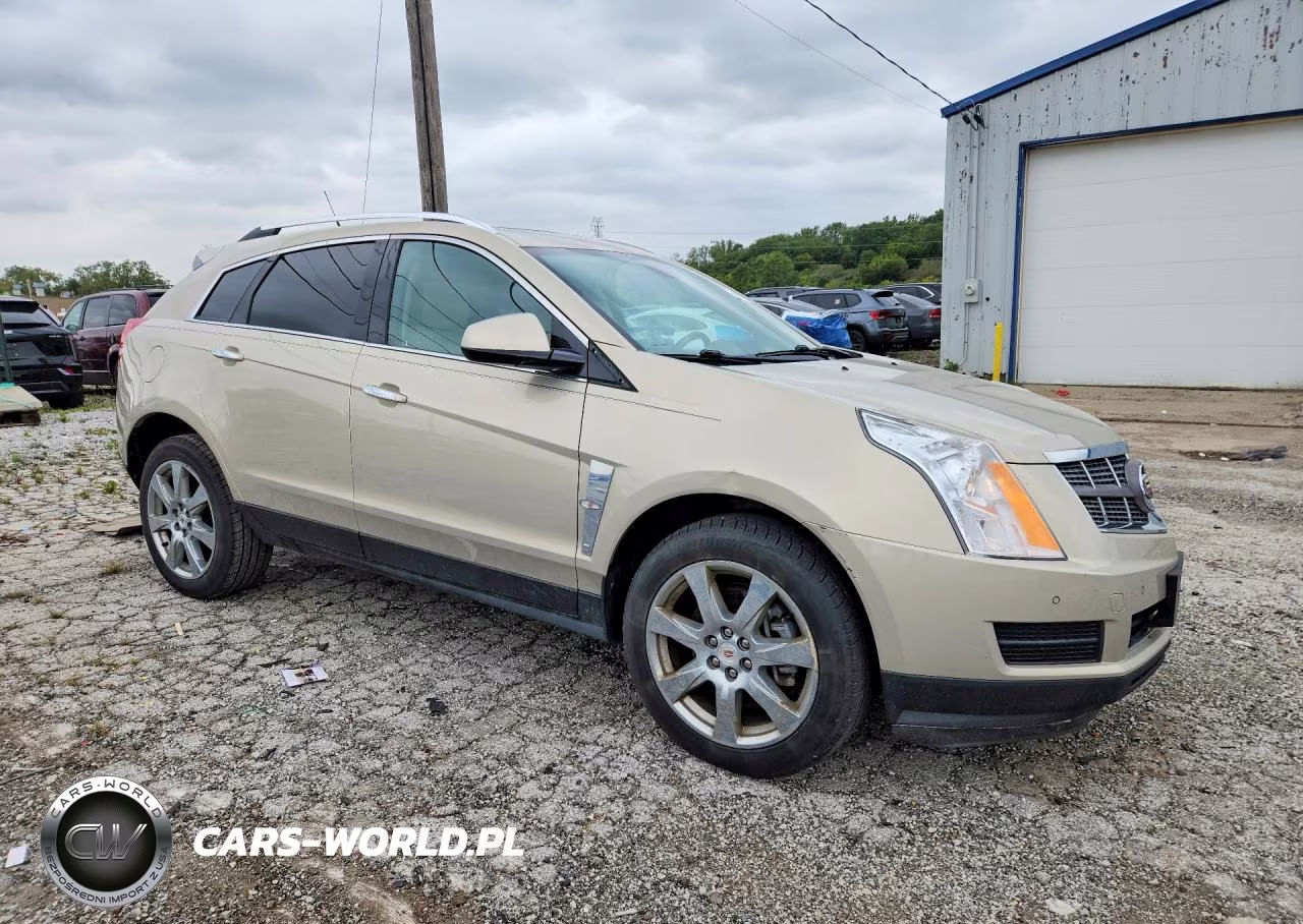 2010 Cadillac Srx Luxury Collection VIN:3GYFNAEY8AS606831 - 4