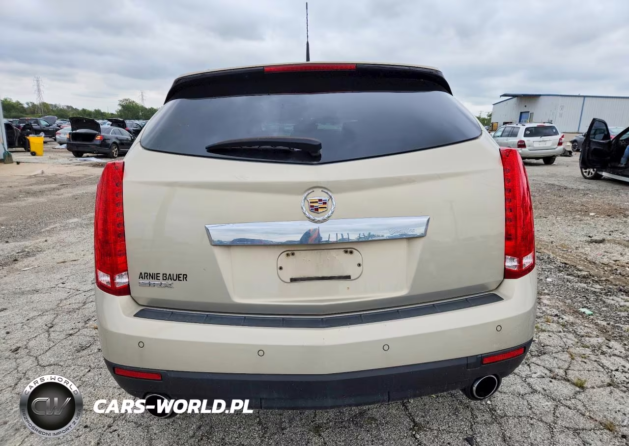 2010 Cadillac Srx Luxury Collection VIN:3GYFNAEY8AS606831 - 6