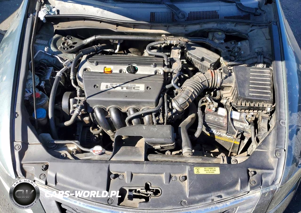 2009 Honda Accord Exl VIN:1HGCP26889A013119 - 11