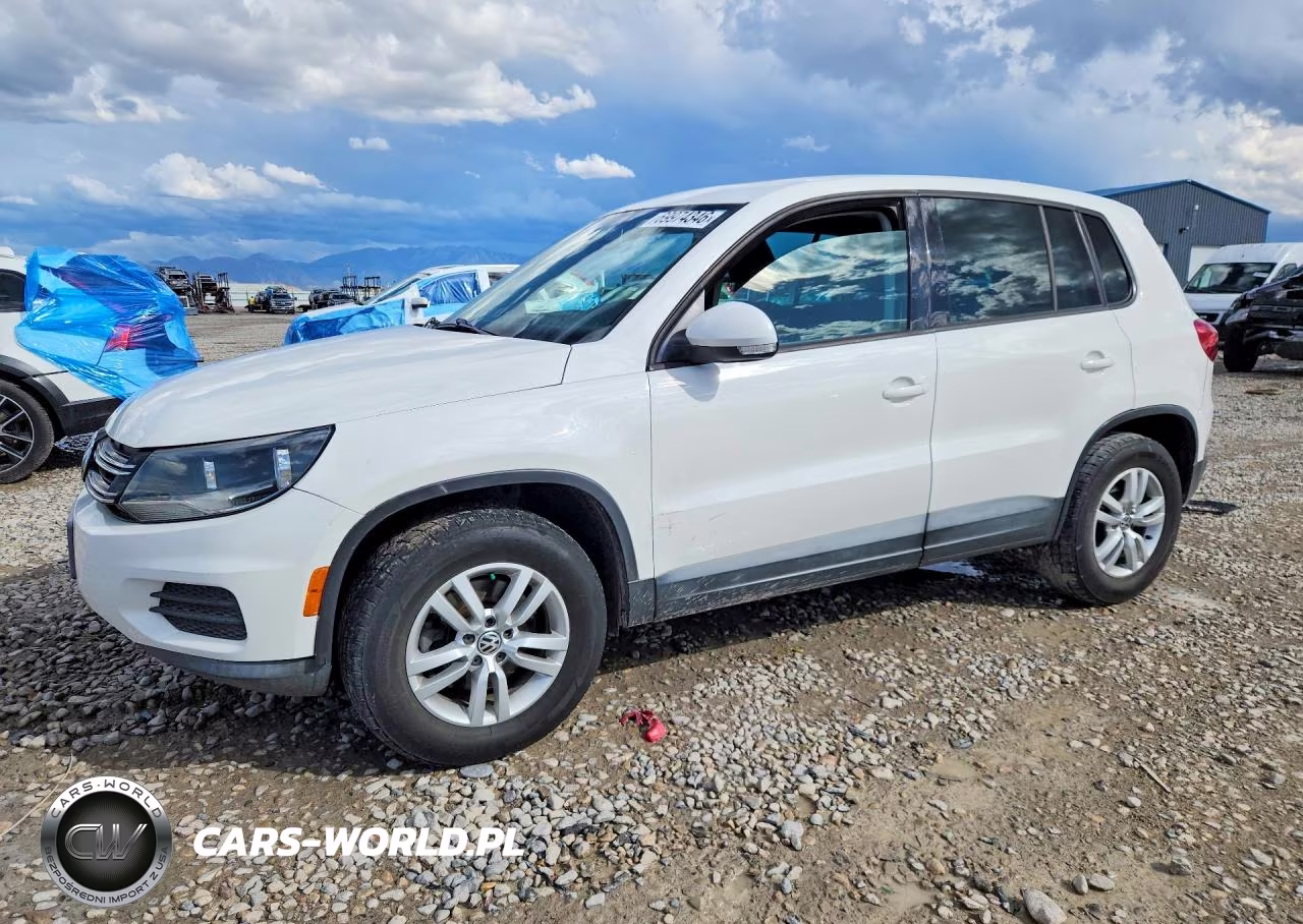 2013 Volkswagen Tiguan S