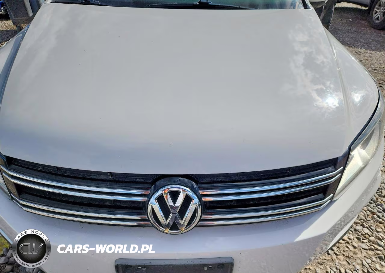 2013 Volkswagen Tiguan S VIN:WVGAV7AX8DW504241 - 11