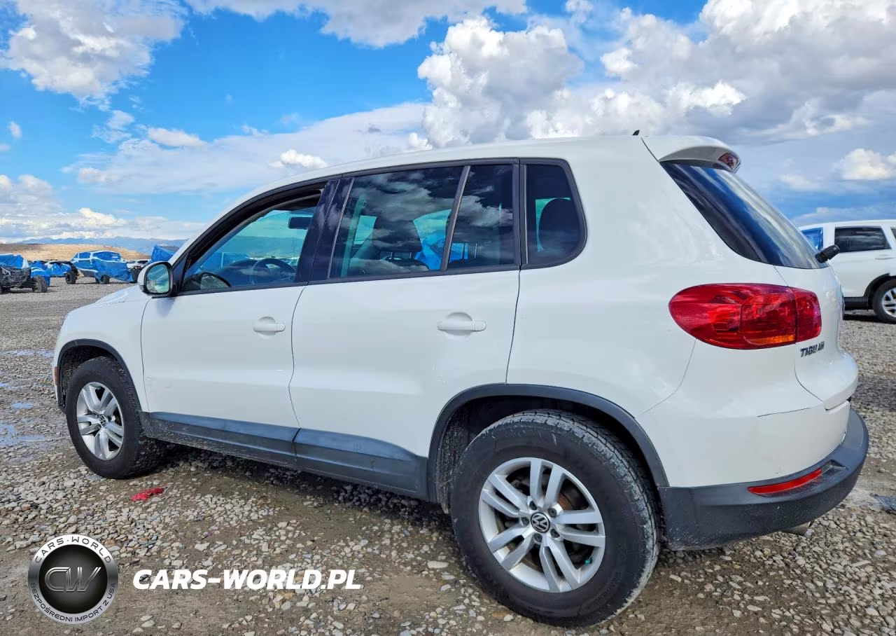 2013 Volkswagen Tiguan S VIN:WVGAV7AX8DW504241 - 2