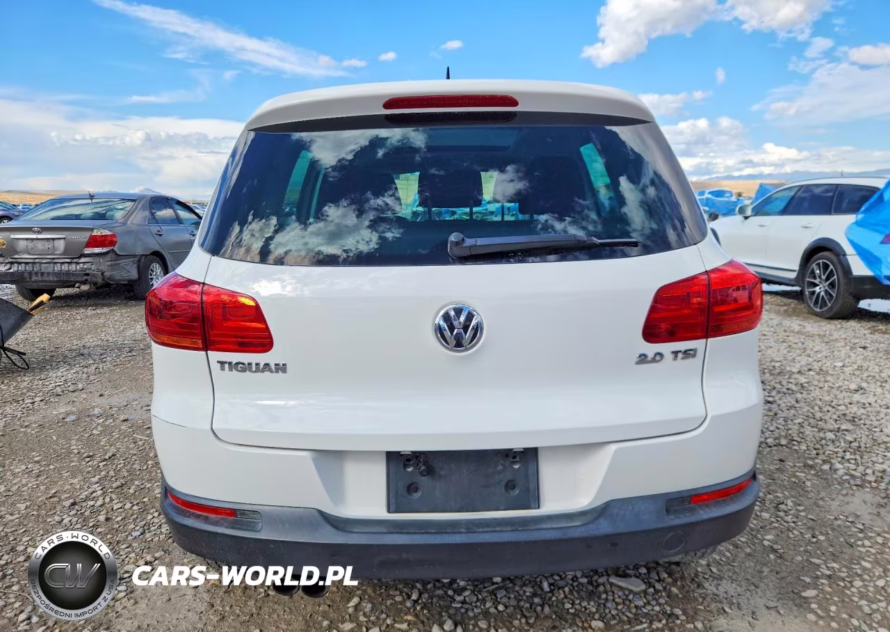 2013 Volkswagen Tiguan S VIN:WVGAV7AX8DW504241 - 6