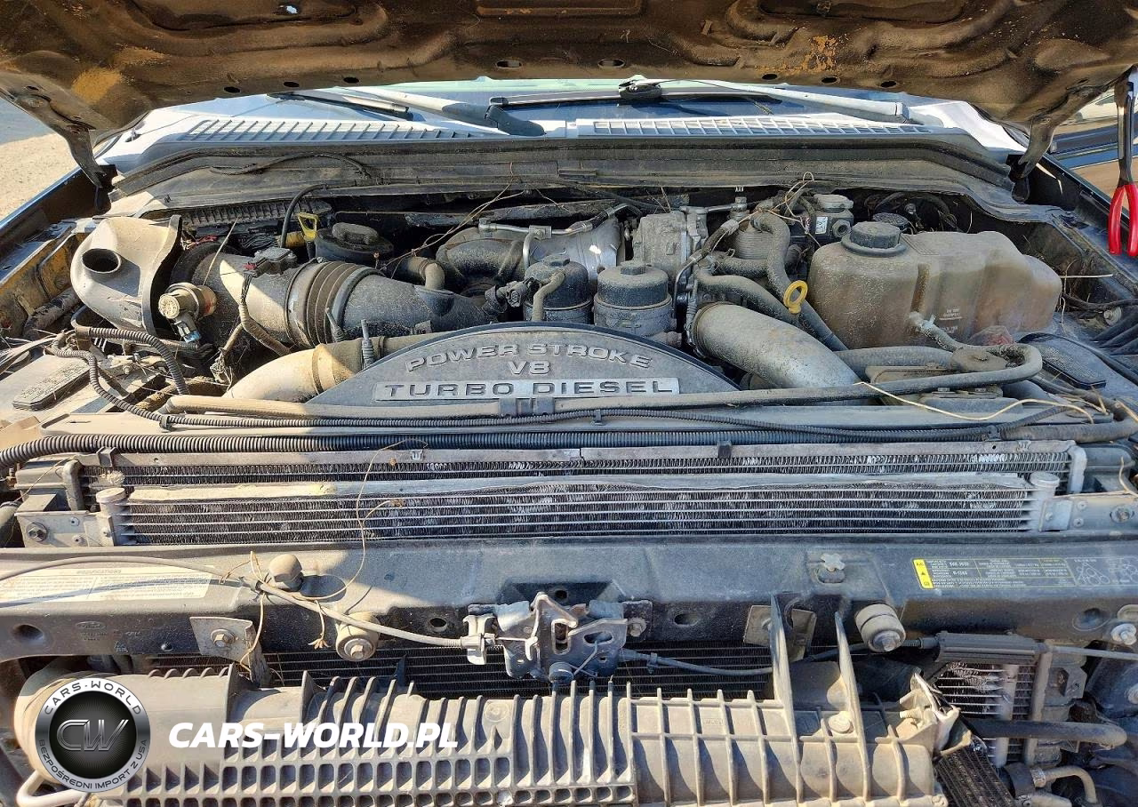 2009 Ford F250 Super Duty VIN:1FTSW21R99EA34213 - 11