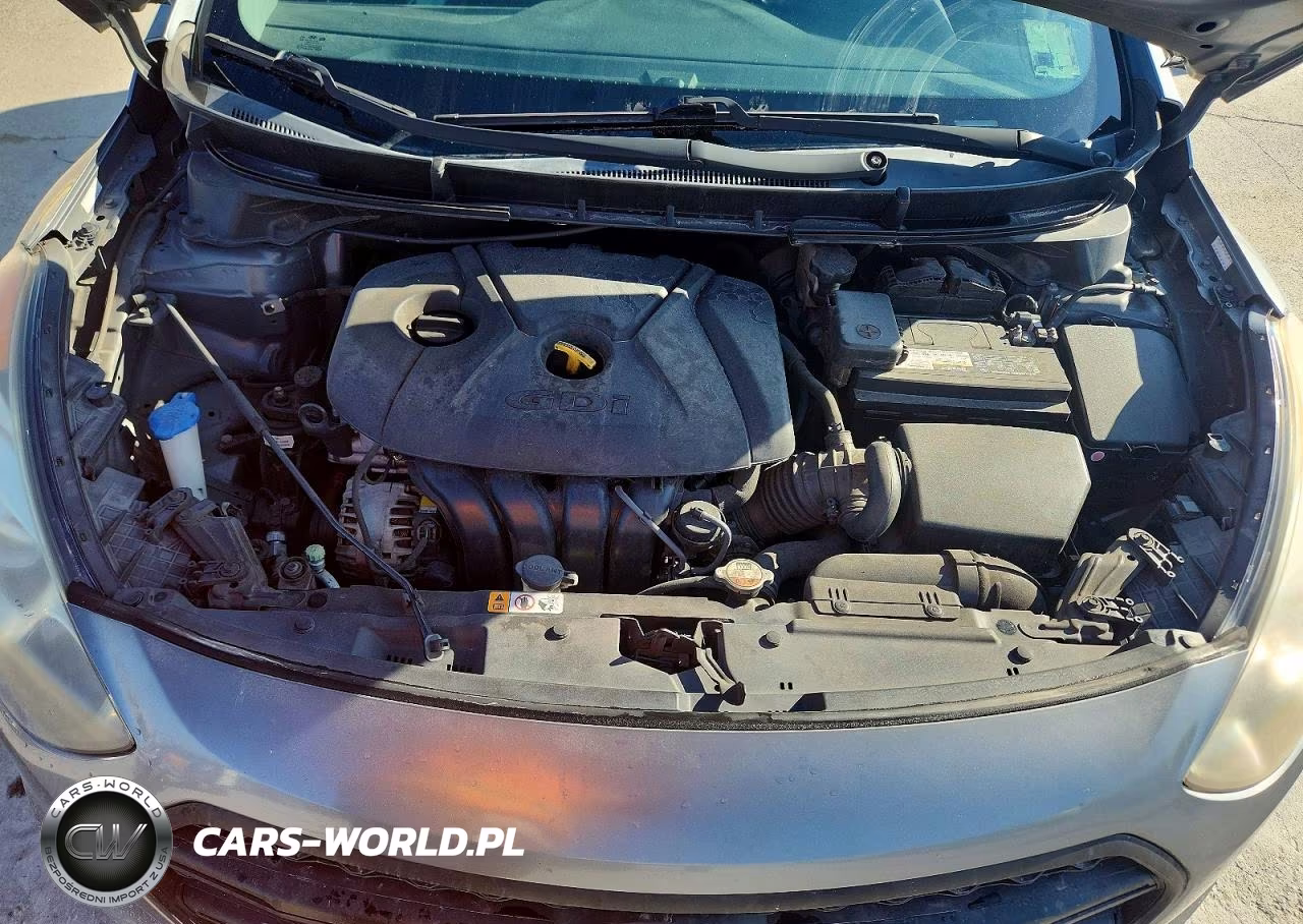 2016 Hyundai Elantra Gt Base VIN:KMHD35LH7GU300219 - 11