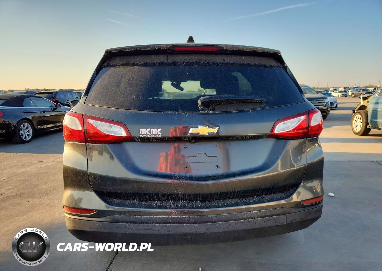 2019 Chevrolet Equinox Ls VIN:2GNAXHEV2K6105062 - 6