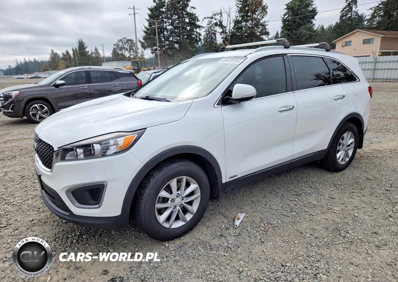2016 Kia Sorento Lx VIN:5XYPGDA36GG043515 - 1