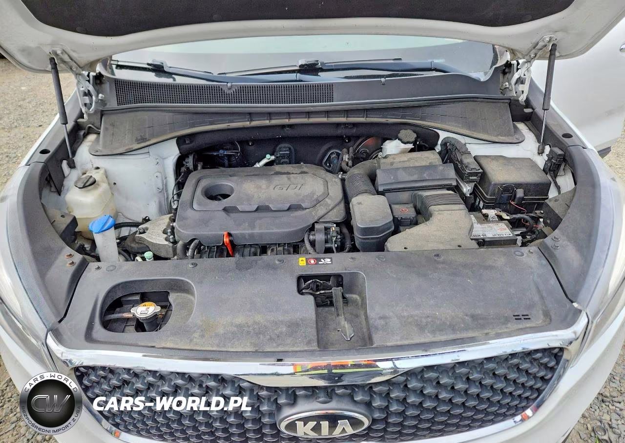 2016 Kia Sorento Lx VIN:5XYPGDA36GG043515 - 12