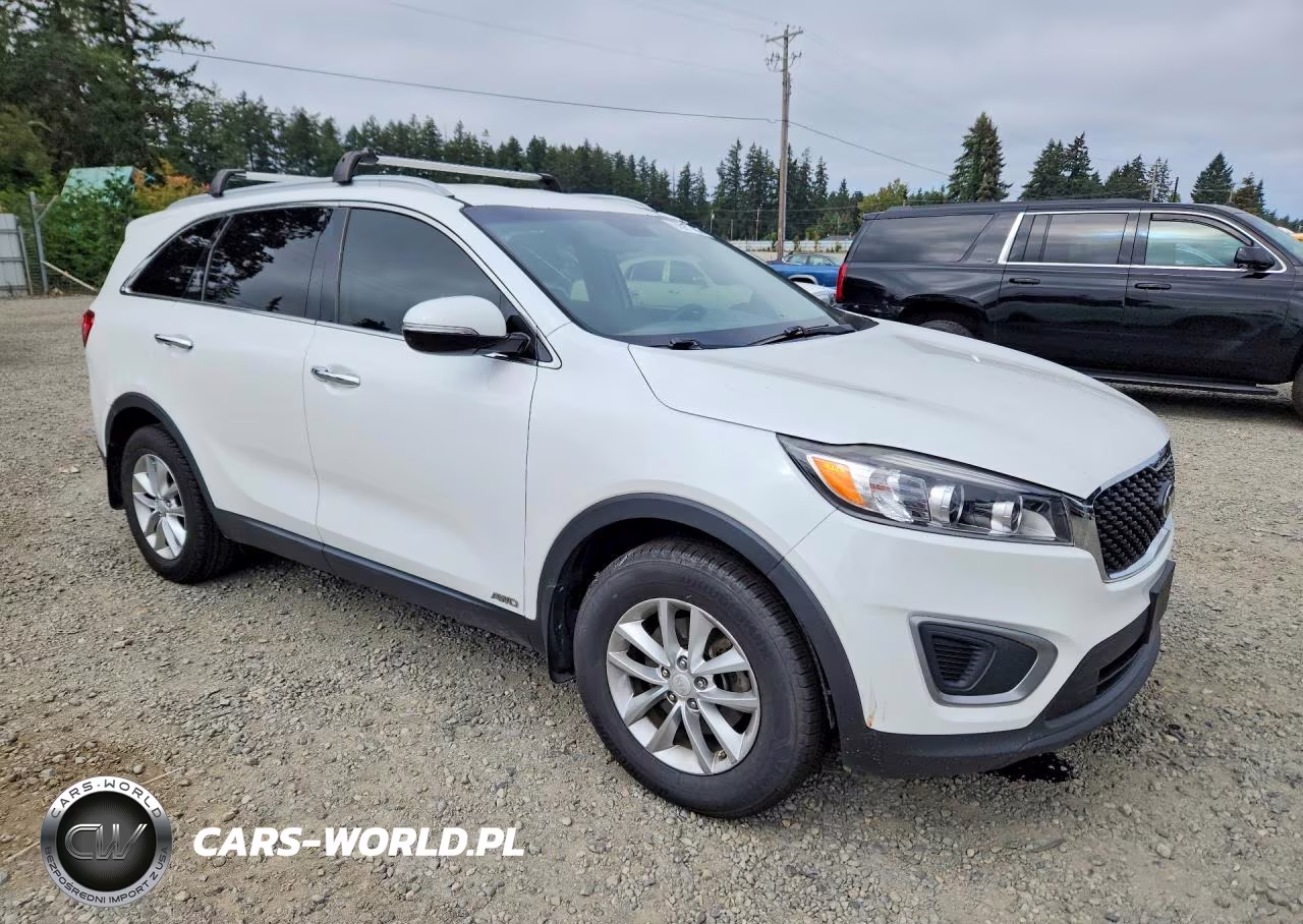 2016 Kia Sorento Lx VIN:5XYPGDA36GG043515 - 4