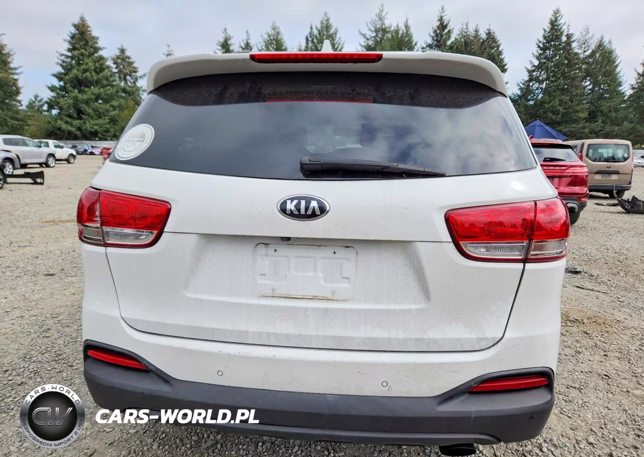 2016 Kia Sorento Lx VIN:5XYPGDA36GG043515 - 6